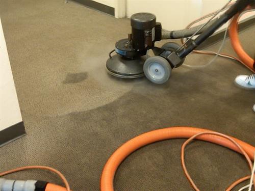 Commercial Carpet Cleaning 