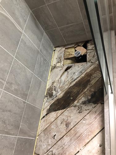 Rotted Shower Basin Repair