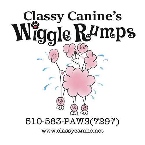 Classy Canine's Wiggle Rumps voted The bay area's  #1pet grooming spaw