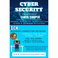 Business Connection Network-Cyber Security