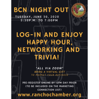 Business Connection Network-Night Out