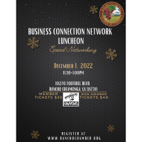BCN Luncheon : Speed Networking
