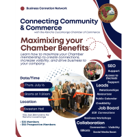 BCN Luncheon - How to Maximize Membership