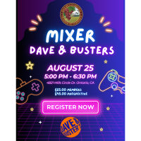 Mixer - Dave & Buster's