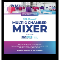 5th Annual Multi Chamber Mixer
