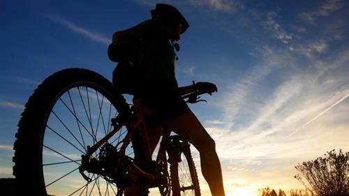 Gallery Image cycle-mtb.jpg Gallery Image cycle-mtb.jpg