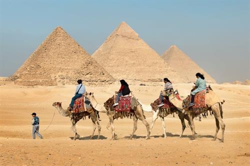 Gallery Image egypt1camels.jpg Gallery Image egypt1camels.jpg