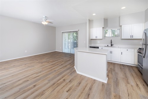 Renovated Kitchen