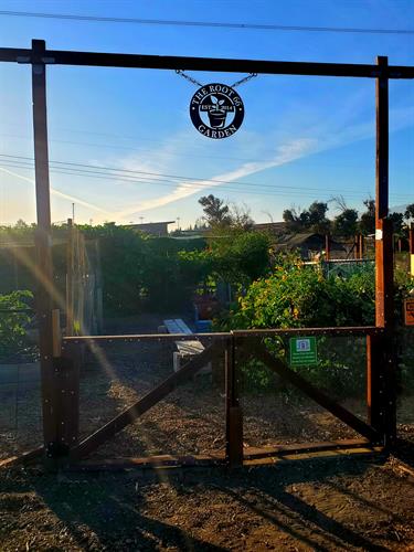 Gallery Image 1000005850.jpg