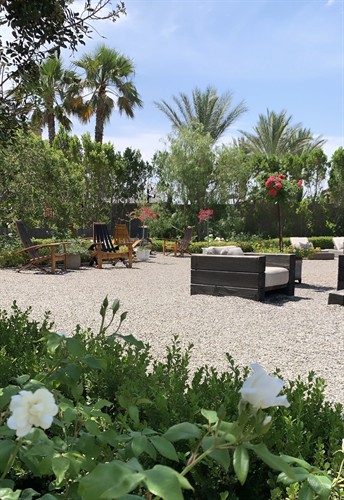 Backyard Landscape Transformation