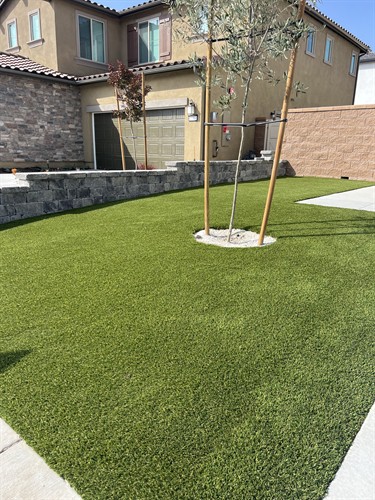 Professional Turf Installation