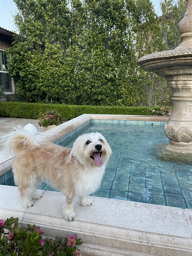 Daisy's official seal of approval.