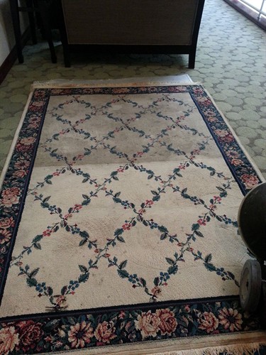 area rug being cleaned