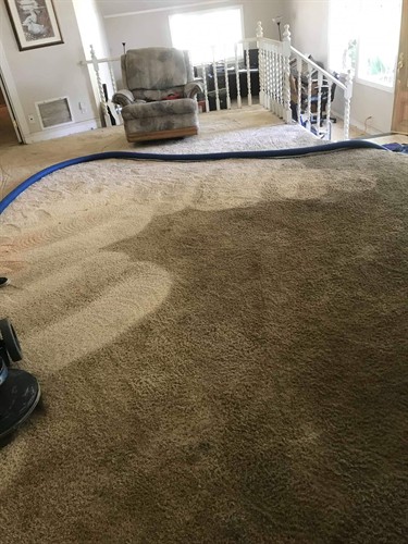 Heavy duty carpet cleaning