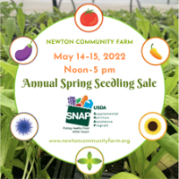Spring Seedling Sale at Newton Community Farm