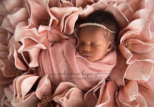 Gallery Image Boston_Newborn_Photographer_Adriana_Kopinja.jpg Gallery Image Boston_Newborn_Photographer_Adriana_Kopinja.jpg