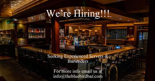 We're hiring!  Call, email, or come by and apply today!  | The Bluebird Bar | West Newton