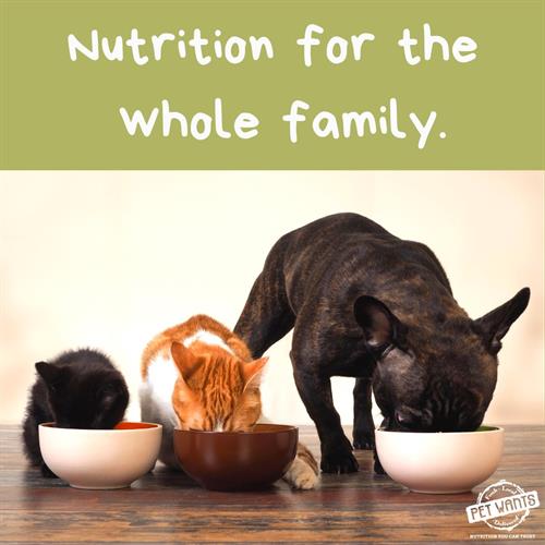 Gallery Image Nutrition_for_the_whole_family.jpg