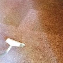 carpet cleaning procedure (steam cleaning)