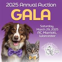 Second Chance Auction Gala