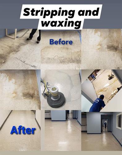 Stripping and waxing vinyl floors Worcester Stripping and waxing vinyl floors Worcester