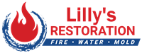 Lilly's Restoration: Webster's Premier Provider of Mold Remediation Services
