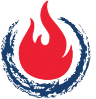 How Can Lilly’s Help With Basement Mold?