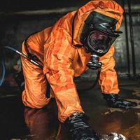 Mold Taking a Hold of Your Basement? We Can Help!