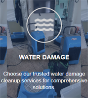 Lilly's Restoration your #1 Local Water Damage Cleanup Pros