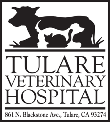 Tulare Veterinary Hospital
