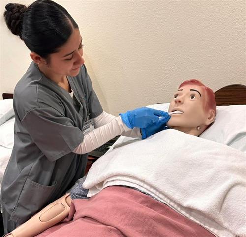 Gallery Image IMG_2891.jpg