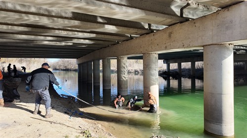 Creek Cleanup