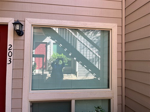 Gallery Image Shannonb_v25_Almond_(6).jpeg