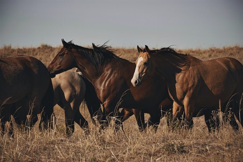 Gallery Image 471440657_18479782234044779_1273023741972379896_n.jpg