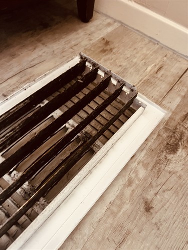 Mold in Air Duct System