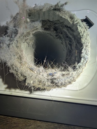 Dryer Vent Cleaning
