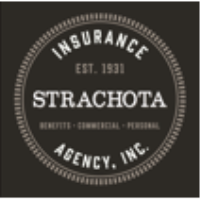 Above the Park Business Social hosted by Strachota Insurance