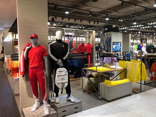 Adidas men's shop at Macy's