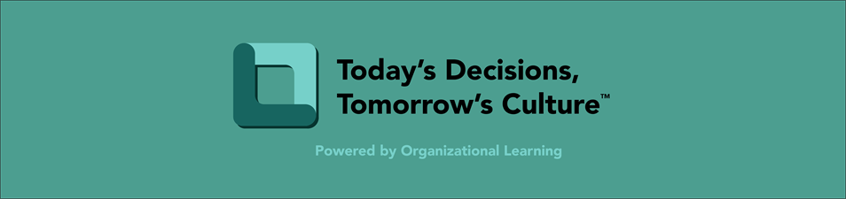 Organizational Learning LLC