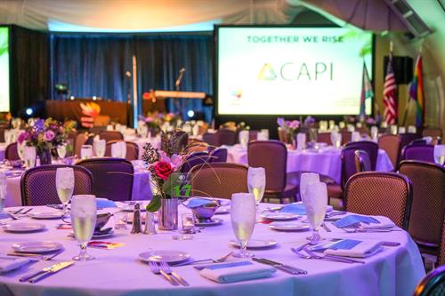 Gallery Image CAPI__Gala_DSC04123.jpg