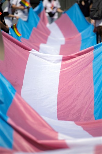 Large Trans flag being carried by many hands in a parade