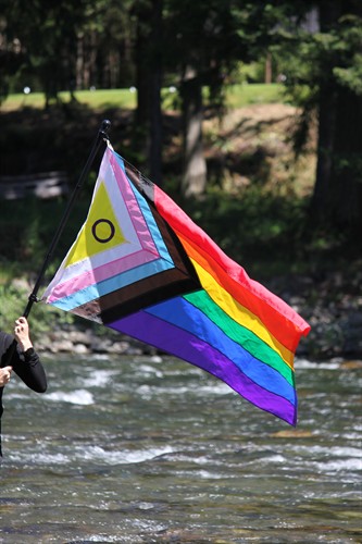 Intersex Progress Pride Flag flying on a hand-held pole with a forest scene in the background