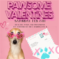 Paw-some Valentines