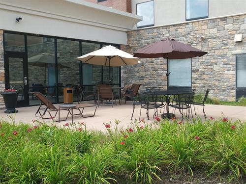 Guests can relax on the patio over looking a nature area in summer months.