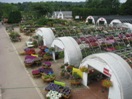 Countryside Flower Shop, Nursery & Garden Center