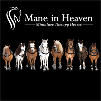 Peace with Ponies Wellness Mini Horses and Chair Yoga for Seniors 9:30 to 11:30
