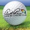 29th Annual Golf Classic (Arnold Palmer's Latrobe Country Club)