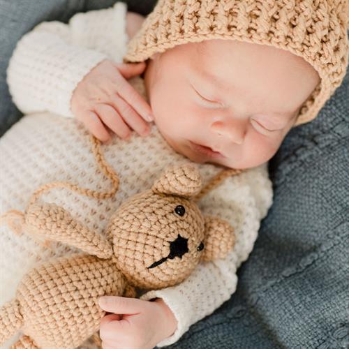 Newborn Portrait Sessions