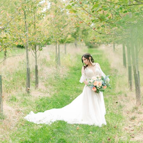 Bridal Portrait Sessions 