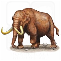 Exchange Club of Bellevue Tuesday Breakfast Meeting 7:30 a.m. March 17, 2026 Olivia Thompson Tn State Museum Mastodon Bones in Bellevue